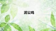 赣美版（2024）二年级上册第18课 泥公鸡备课课件ppt