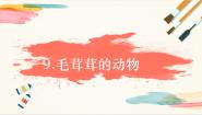 美术四年级上册9 毛茸茸的动物试讲课教学ppt课件