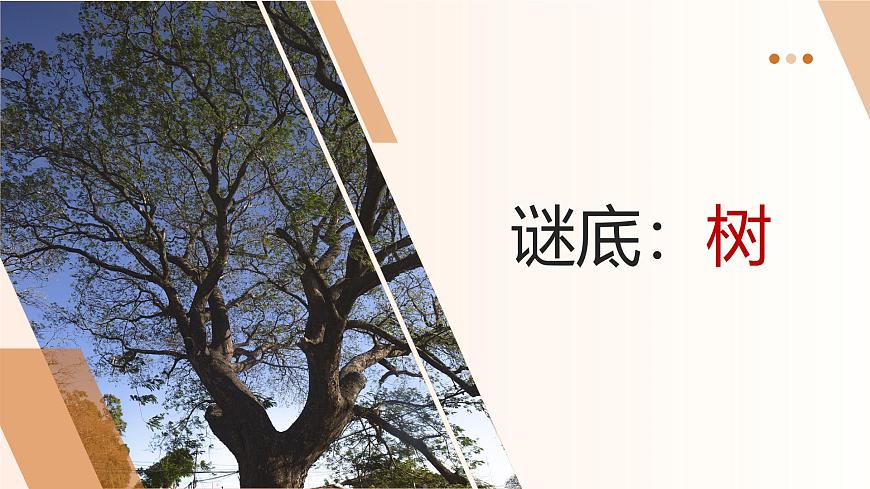 【核心素養(yǎng)目標(biāo)】湘美版小學(xué)美術(shù)一年級下冊第1課《大樹的模樣》授課PPT課件第5頁