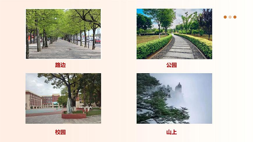 【核心素養(yǎng)目標(biāo)】湘美版小學(xué)美術(shù)一年級下冊第1課《大樹的模樣》授課PPT課件第8頁
