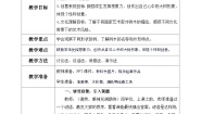 小学美术湘美版（2024）一年级下册（2024）第1课 大树的模样一等奖表格教学设计