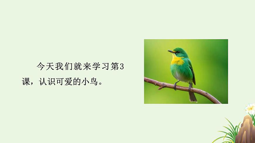 【核心素養(yǎng)目標(biāo)】湘美版小學(xué)美術(shù)一年級下冊第3課《可愛的小鳥》授課PPT課件第4頁