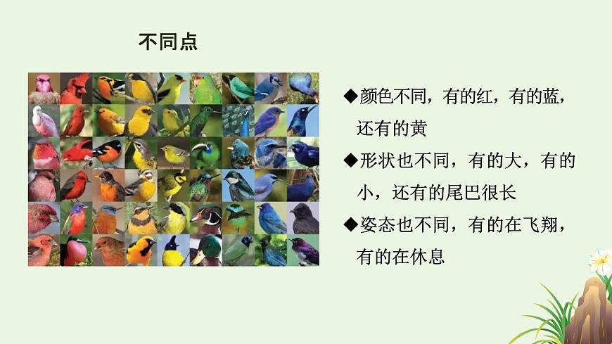 【核心素養(yǎng)目標(biāo)】湘美版小學(xué)美術(shù)一年級下冊第3課《可愛的小鳥》授課PPT課件第7頁