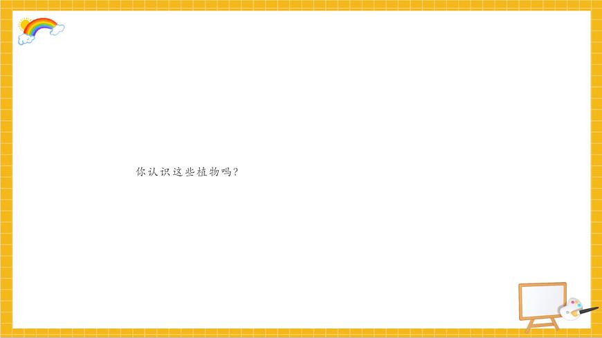 植物寫生第3頁