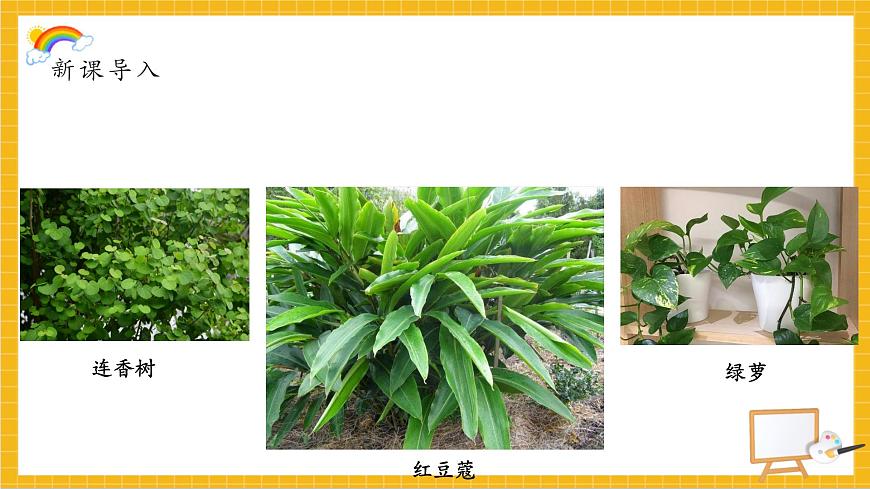 植物寫生第4頁