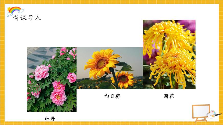 植物寫生第6頁