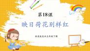 美术浙美版（2024）18 映日荷花别样红优质课教学课件ppt