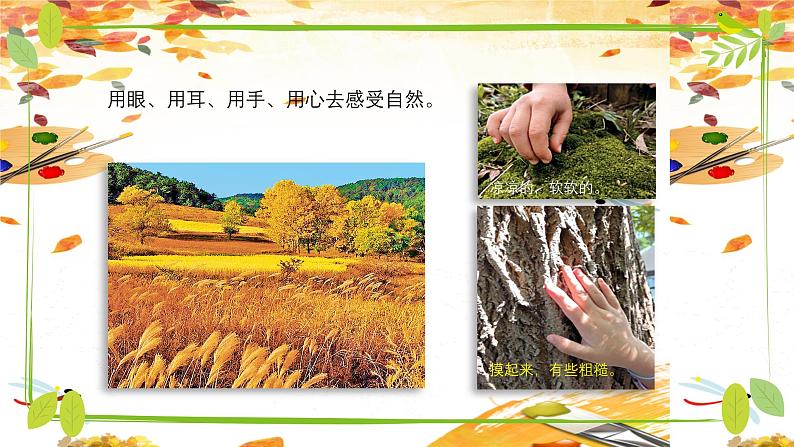 新教材苏少版小学美术一年级上册第一单元七彩生活第1课大自然多美课件第7页