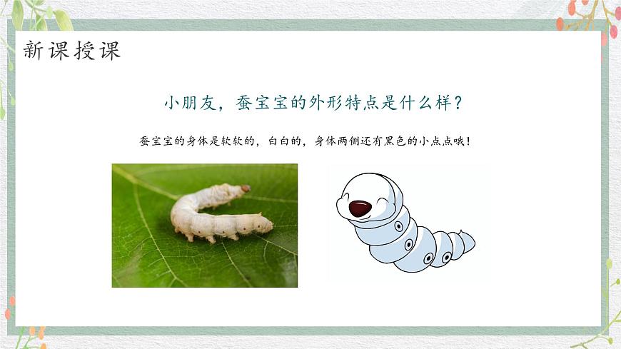 新教材湘美版小學(xué)一年級(jí)上冊(cè)美術(shù)第四單元第一課 桑葉和蠶寶寶課件第7頁(yè)