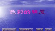 人美版（2024）五年级上册11.色彩的明度教案配套课件ppt