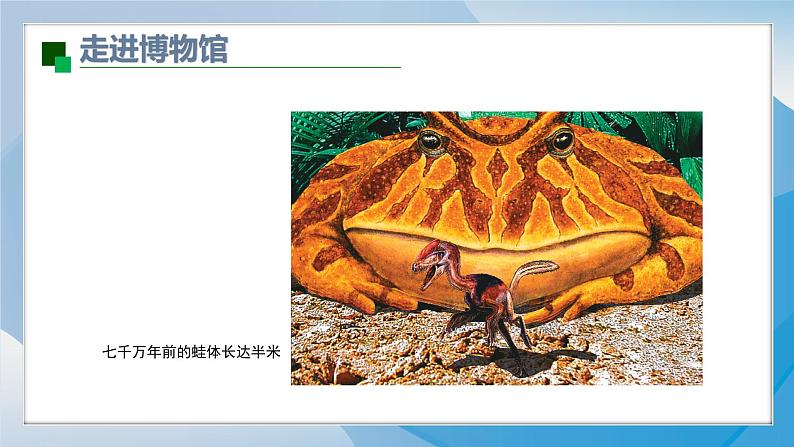 14《远古的动物朋友》(2024-2025)苏少版美术三年级下册PPT课件第5页
