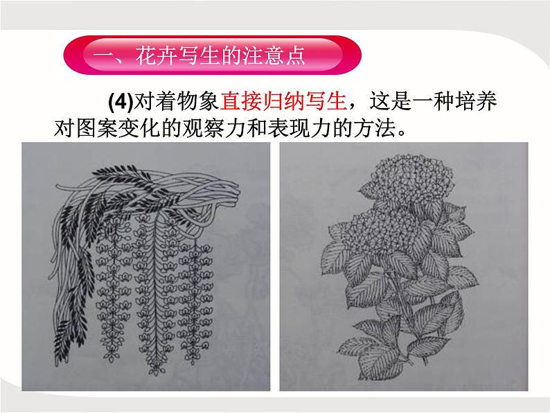 人教版美术五年级上册课外拓展:纹样的写生与变化——花卉PPT第5页