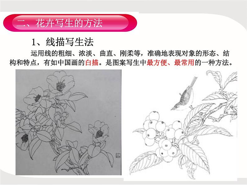 人教版美术五年级上册课外拓展:纹样的写生与变化——花卉PPT第6页