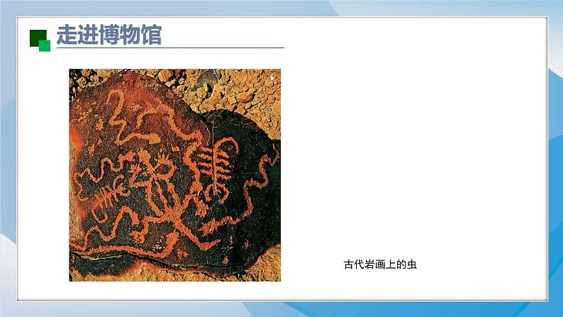14《虫虫虫(1)》(2024-2025)苏少版美术二年级下册PPT课件第7页