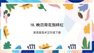 浙美版（2024）五年级下册18 映日荷花别样红完美版ppt课件