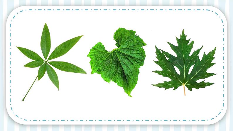 7【新课标】岭南版美术二年级上册《美丽的叶子》课件第4页