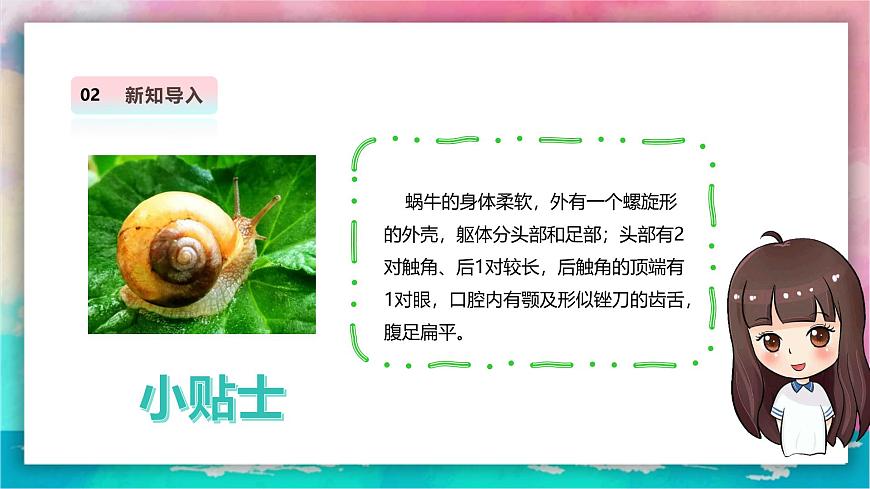 【人教版】美術(shù)  一年級(jí)上冊(cè) 第三單元     2 蝸牛的堅(jiān)持   課時(shí)課件第6頁(yè)
