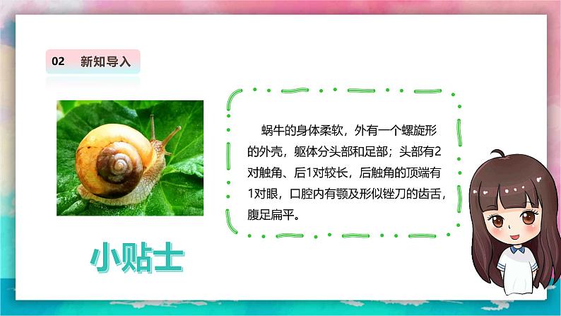 【人教版】美术 一年级上册 第三单元 2 蜗牛的坚持 课时课件第6页
