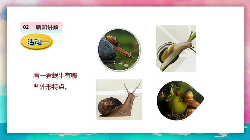 【人教版】美術(shù)  一年級(jí)上冊(cè) 第三單元     2 蝸牛的堅(jiān)持   課時(shí)課件第7頁(yè)