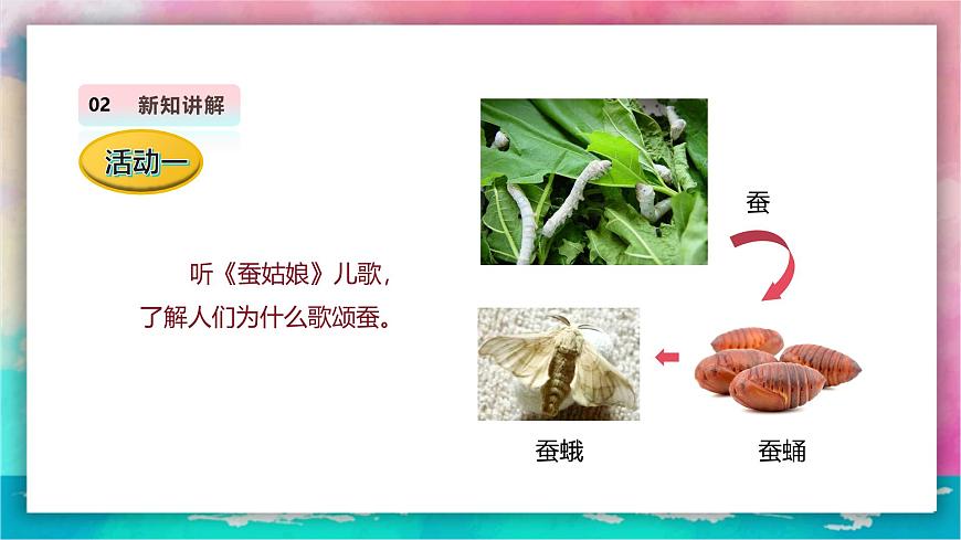 【人教版】美術(shù)  一年級(jí)上冊(cè) 第二單元     2 勤勞的蠶寶寶   課時(shí)課件第5頁(yè)