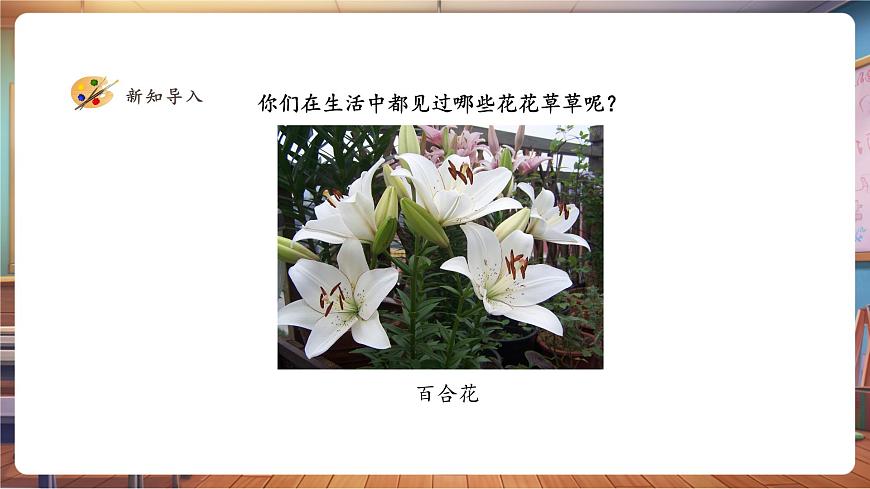 一年級(jí)下冊(cè)第二單元第1課《花花草草》課件（21頁(yè)）第4頁(yè)