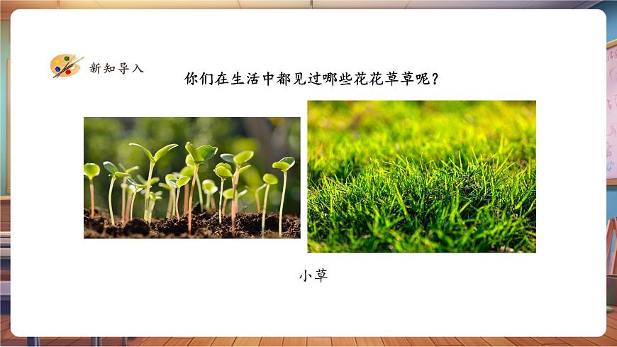 一年級(jí)下冊(cè)第二單元第1課《花花草草》課件（21頁(yè)）第5頁(yè)
