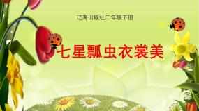 辽海版（2024）二年级下册第二单元 观察与表现第6课 七星瓢虫衣裳美评课课件ppt