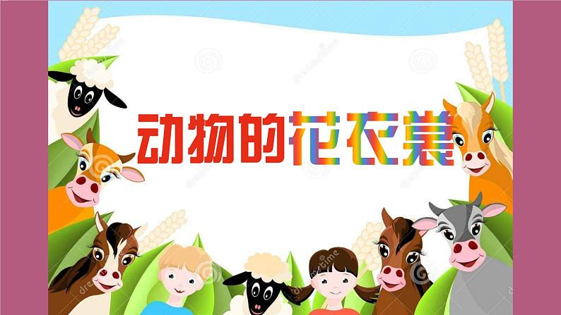 人教版(2024)小学美术三年级下册 第11课《动物的花衣裳》课件第4页