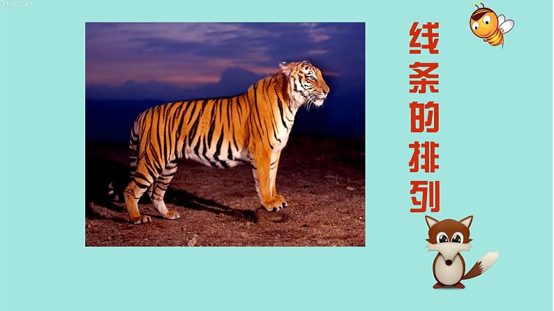 人教版(2024)小学美术三年级下册 第11课《动物的花衣裳》课件第8页