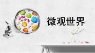 人教版（2024）五年级下册第14课 微观世界示范课ppt课件