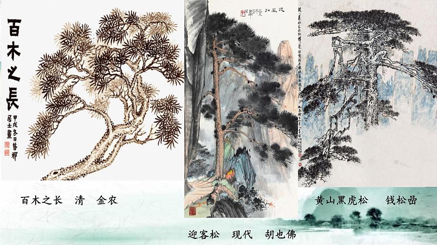 人教版小學美術 五年級下冊 第11課《學畫松樹》課件第6頁