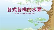 美术人教版（2024）第13课 各式各样的水果说课课件ppt