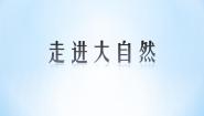 人教版（2024）一年级下册第2课 走近大自然图片课件ppt