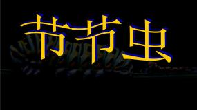 小学美术人美版（2024）二年级下册6.节节虫多媒体教学ppt课件