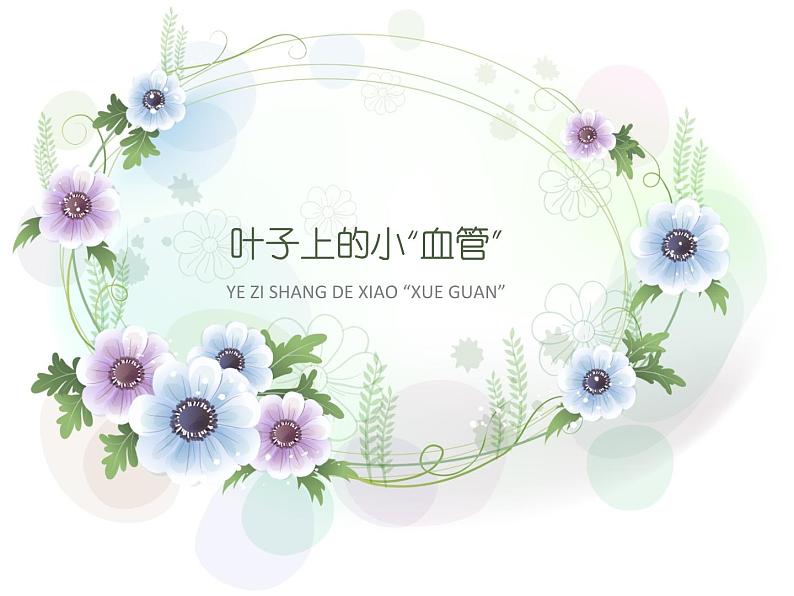 人教版(2024)小学美术 第8课《叶子上的小“血管”》课件第1页