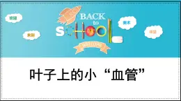 人教版（2024）小学二年级下册美术 第8课《叶子上的小“血管”》课件