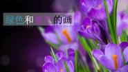 美术人美版（2024）12.绿色和紫色的画图片课件ppt