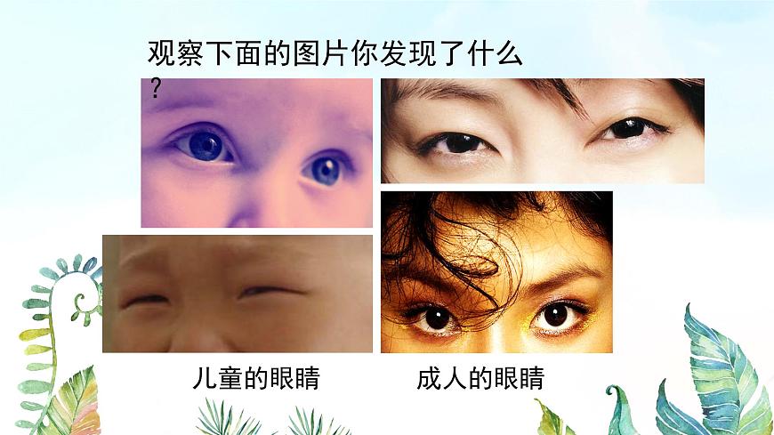 湘美版小學(xué)美術(shù)一年級上冊 第4課《大眼睛》基于標(biāo)準(zhǔn)的教學(xué)課件第5頁