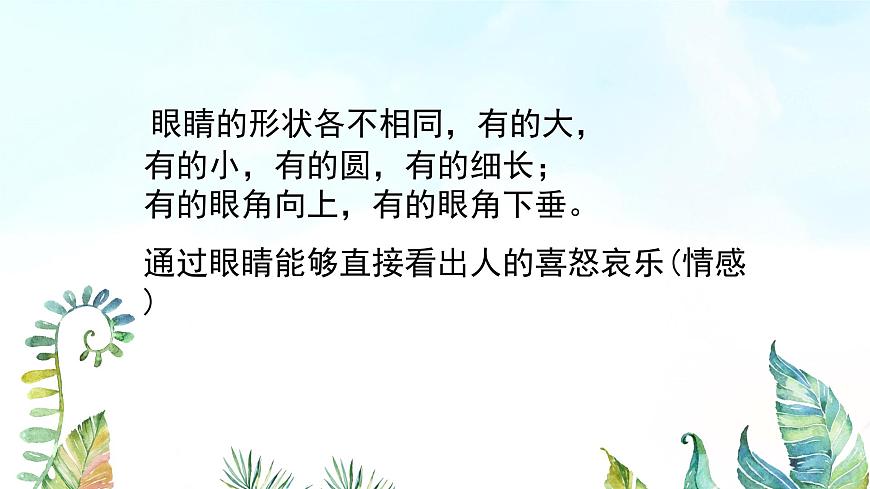 湘美版小學(xué)美術(shù)一年級上冊 第4課《大眼睛》基于標(biāo)準(zhǔn)的教學(xué)課件第6頁