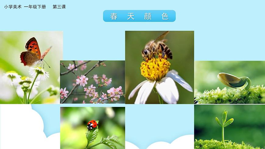 美術(shù)嶺南版一年級(jí)下冊(cè) 第三課《春天的腳步》課件第4頁