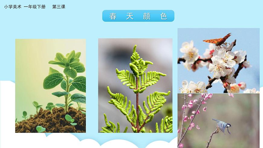 美術(shù)嶺南版一年級(jí)下冊(cè) 第三課《春天的腳步》課件第5頁