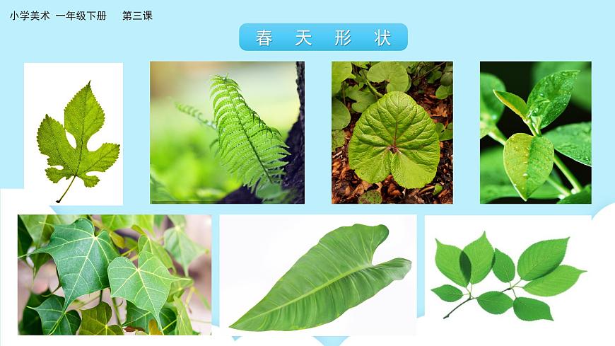 美術(shù)嶺南版一年級(jí)下冊(cè) 第三課《春天的腳步》課件第6頁