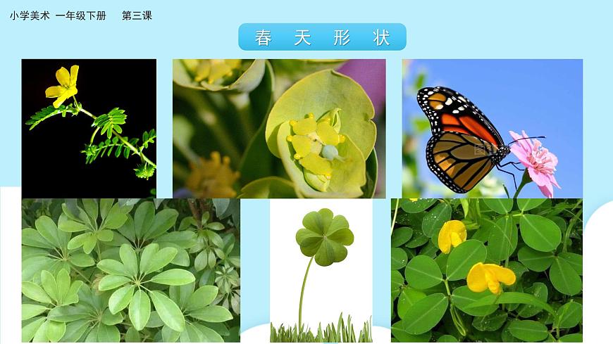 美術(shù)嶺南版一年級(jí)下冊(cè) 第三課《春天的腳步》課件第7頁