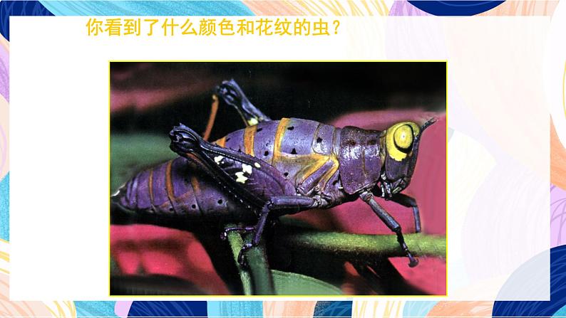 苏少版美术二下 第15课《虫虫虫(二)》课件第4页