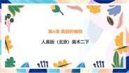 二年级下册4. 美丽的植物精品课件ppt