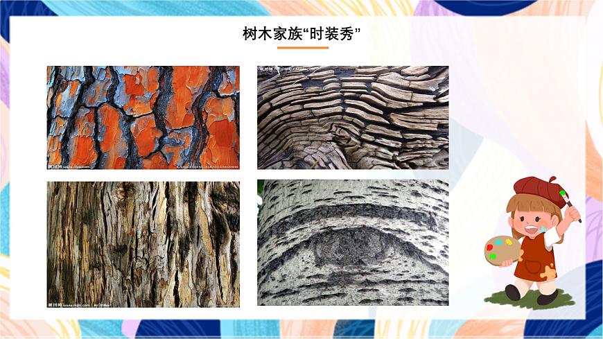 人美版（北京）美術(shù)二下 第4課《美麗的植物》課件第3頁(yè)