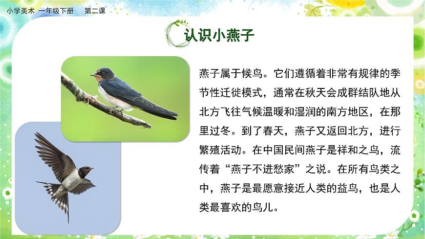 美術(shù)人教版一年級下冊 第二課《春天的使者》課件第6頁