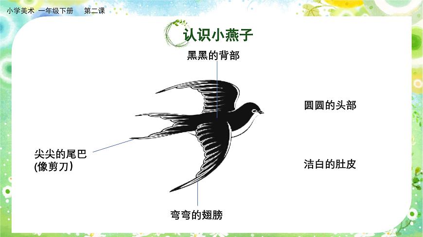美術(shù)人教版一年級下冊 第二課《春天的使者》課件第7頁