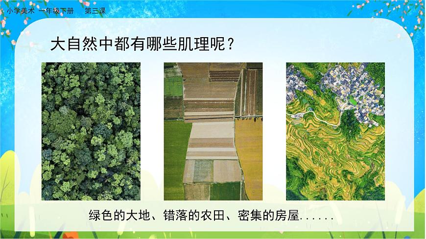 美術人教版一年級下冊 第三課《大地的肌理》課件第4頁