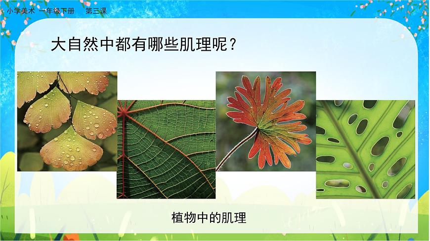 美術人教版一年級下冊 第三課《大地的肌理》課件第5頁